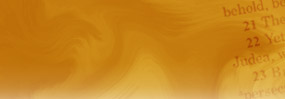 Living Stream Ministry